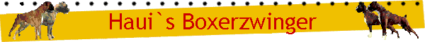 Haui`s Boxerzwinger